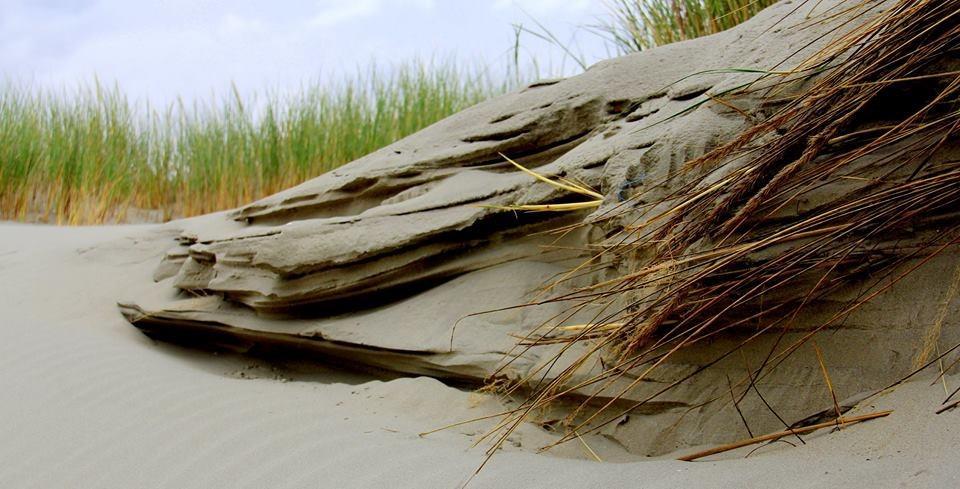 Dune Bep Schiermonnikoog Esterno foto